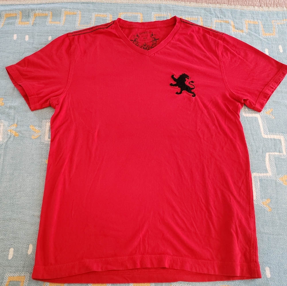 Express V Neck T-Shirt Mens Medium
